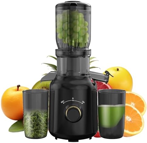 Cold Press Juicer Machines Vegetable and Fruit, 4.1" Large Feed Chute Powerful Slow Masticating Juicer, Juice Extractor Machine BPA Free Easy Clean Self Feeding High Juice Yield