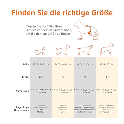 Einweg Hundewindeln für Rüden von Amazon Basics im 30er-Pack