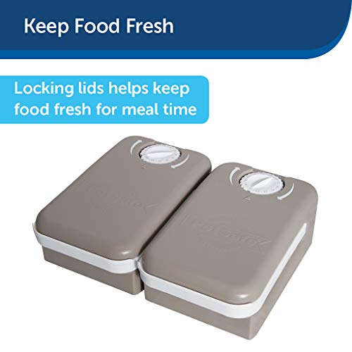 Buy PetSafe Automatic 2 Meal Pet Feeder with Battery Powered