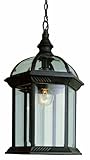 Trans Globe Lighting Trans Globe Imports 4183 RT Traditional One Light Hanging Lantern from Wentworth Collection in Bronze/Dark Finish, 7.00 inches, 14-Inch, Rust