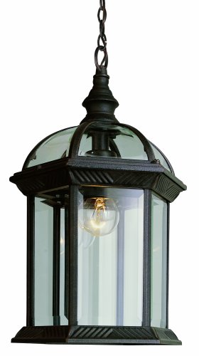 Trans Globe Lighting Trans Globe Imports 4183 RT Traditional One Light Hanging Lantern from Wentworth Collection in Bronze/Dark Finish, 7.00 inches, 14-Inch