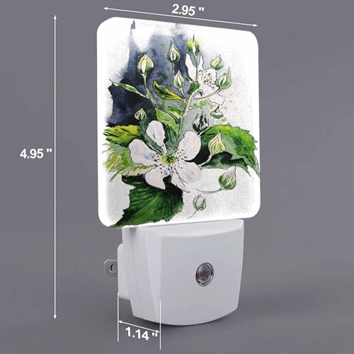 Image of LED Night Light,Flower BlackBerry Watercolor Painted Blossom LED Night Light Plug into Wall with Dusk to Dawn Light Sensor White Energy Efficient Nightlight for Bedroom Hallway Kitchen