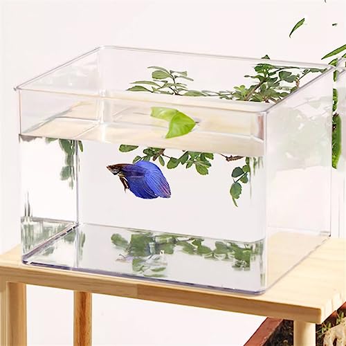 Bocal poisson transparent en acrylique premium avec support de table design - 6