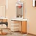 HHEvergreenEnsemble Unique Salon Station for Hair Stylist (All - Around LED Design)(HD Mirror)(Ample Storage Drawers), Barber Station with Futuristic Design, Golden