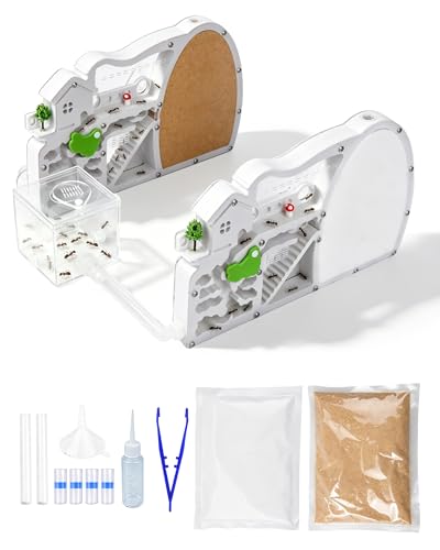 Kit de château de fourmis en acrylique transparent avec tubes de connexion