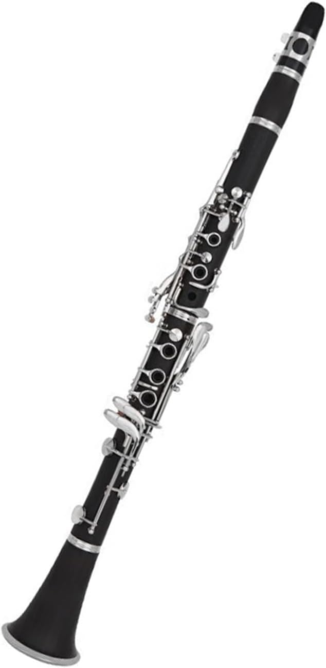 Clarinet Instrument 17 Keys B Flat Beginner Ebony Material Clarinet Instrument(2)