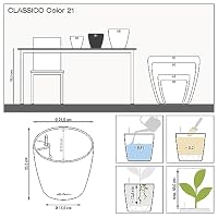 LECHUZA CLASSICO Color 21 muskat 13183 – Ansicht 4
