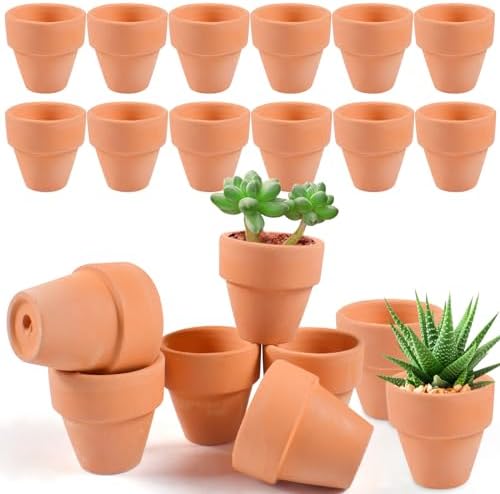 Lot de 24 petits pots en terre cuite de 3,5 cm - Petits pots en terre Lot de 24 petits pots en terre cuite de 3,5 cm - Petits pots en terre