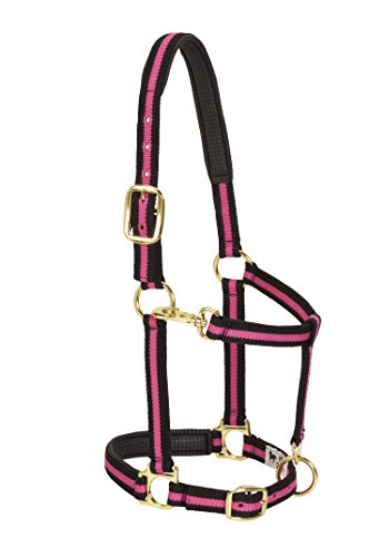 Weaver Leather Padded Adjustable Nylon Horse Halter, Pink, 1" Average Horse