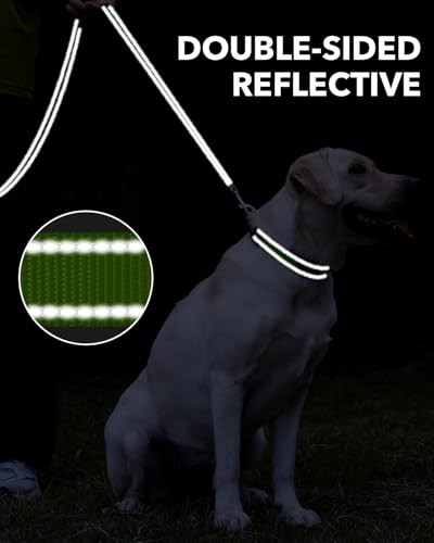Taglory Hundeleine Kleine Hunde Leicht | Doppelseitig Reflektierend | Gepolsterter Griff | Bis zu 10 kg | 1.8m x 2cm | Grün