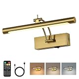 7Degobii Battery Operated Picture Light with Remote,Wireless Gallery Lights Brass 12in Rechargeable Display Light with Flexible Swing Arm,Dimmable Wall Sconce for Artwork on Wall