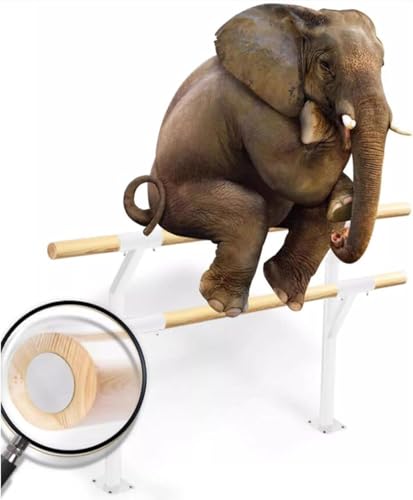 Barre de danse extensible mobile avec structure de ballet autonome et stable - 6