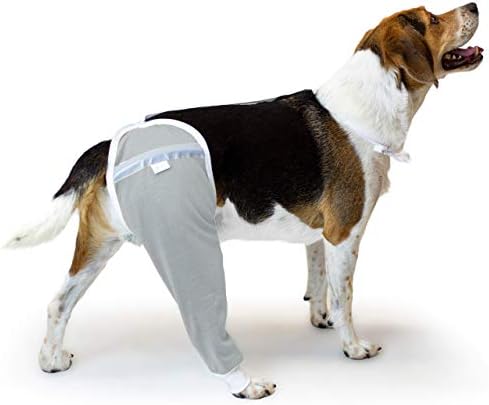 After Surgery Wear Hip and Thigh Wound Protective Sleeve for Dogs. Dog Recovery Sleeve. Recommended by Vets Worldwide (Large, Gray)