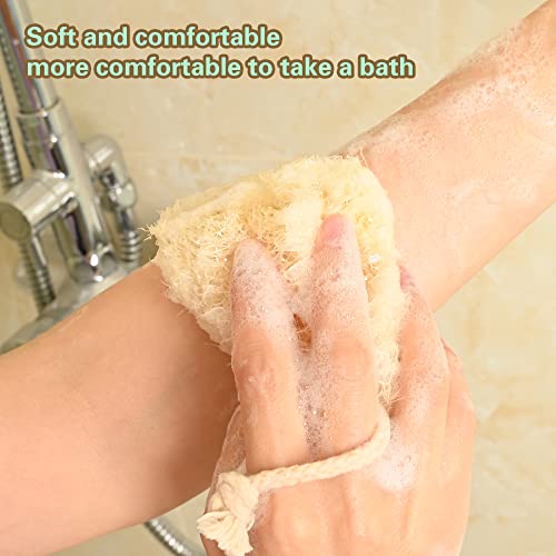 3Pcs Natural Loofah Segment Scrubber Cleaner Set,Exfoliating Sponge, Kitchen Shower Sponge,100% Loofah Vegetable Fiber(3Pc) #TOP3