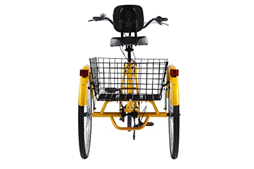 Ey Adult Tricycle, 3 Wheel Bike Adult, Three Wheel Cruiser Bike 20/24/26 inch Wheels, 7 Speed, Adjustable Seat and Handlebar, Multiple Colors (Yellow, 24" Wheels/7-speed)