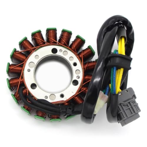 Bobina estator S31120RCA000 para rutas seguras en tu DS 250 de 2008-2016