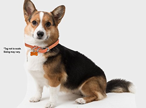 Dogline Designer Leather Dog Collar W/ Custom Personalized Engraved Id Tag | Training, Walking, Traveling | Soft Comfort, Strong | Small, Medium, Large Breed Sizes | Multiple Colors #TOP1