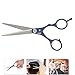 Professional Hair Cutting Scissors, Flat Tooth Shears Hair Haircut Scissors For Beauty Salon Barber And Home Family Personal Use, Hairdressing Tool Barber Scissors(Blue)