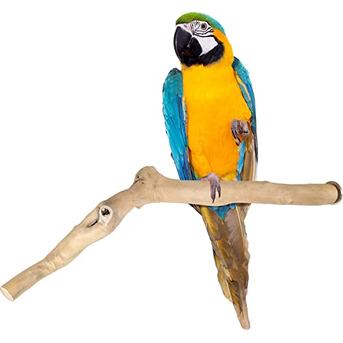 amazon.ae Best Sellers The best items in Pet Bird Supplies based on