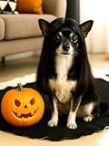 Swooflia Dog Cat Wig - Black Long Straight Pet Wigs for Small Large Medium Dogs Funny Cute Halloween Cosplay Costume Accessories