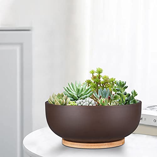 Thirtypot 10 Inch Terracotta Planter, Large Succulent Bonsai Planter Pot With Drainage Hole And Bamboo Saucer For Indoor Plants, Brown #TOP4