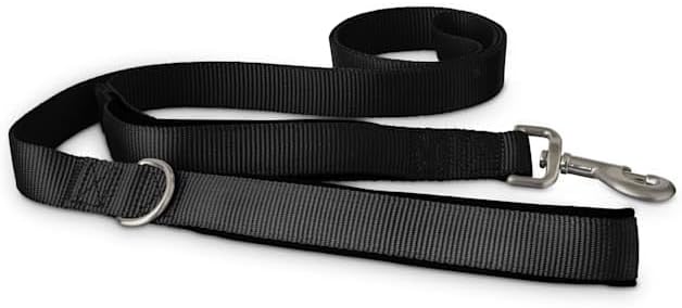 YOULY by Petco 2-in-1 Dog Leash Black 6-ft Long 1-in Wide