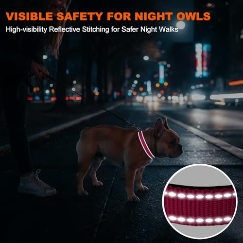 Taglory Hundehalsband, Weich Gepolstertes Neopren Nylon Hunde Halsband für Mittlere Hunde, Verstellbare und Reflektierend für das Training, Hot Pink