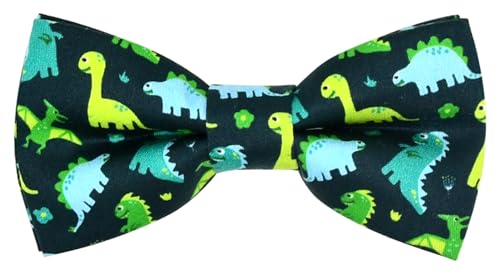 Dinosaur Boy Bow - Main Image