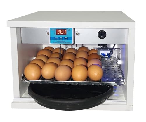 Chocadeira Automática 20 a 30 Ovos 110 Volts