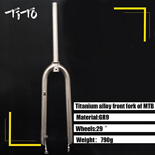 TiTo Titanium Mountain Bike Forcella Anteriore