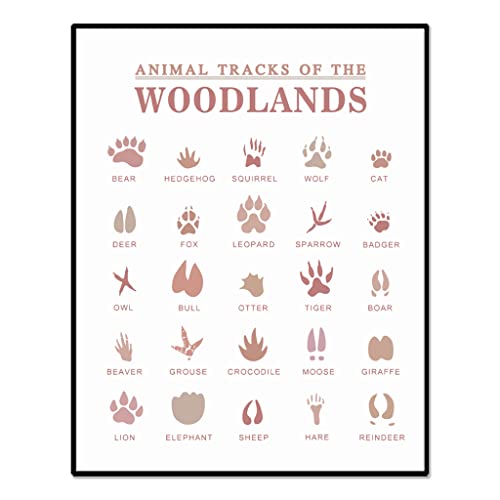 Image of Boho Animal Tracks Print, Woodland Nursery Decor, Outdoor Adventure Print, Boy Room Decor, Classroom Wall Art, Forest Field Guide Print, Boys Room Wall Art, Unframed (11X14 INCH)