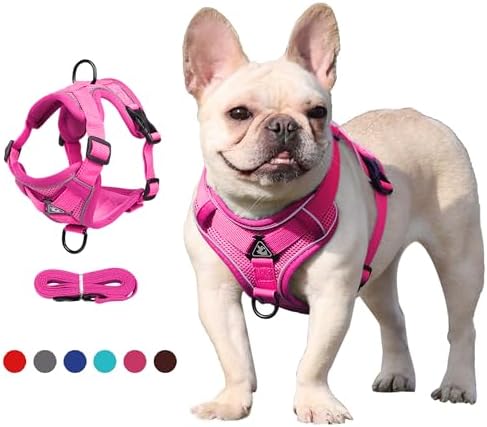 Small Dog Harness and Leash Set, Soft Lightweight Dog Vest Harness with 2 Leash Clips, Reflective Adjustable No Pull Pet Supplies, No-Choke Tiny Dog Harness for Puppy Hot Pink M
