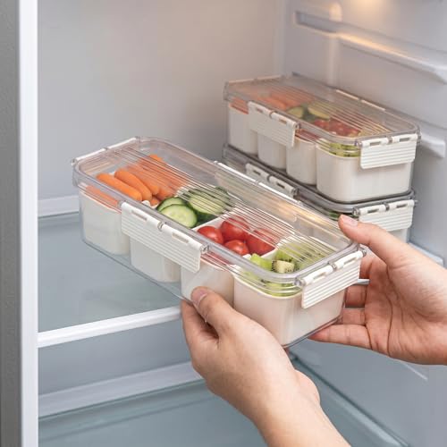 Image of Divided Fridge Storage Boxes With Serving Veggie Tray with Lid and Handle, Fridge Organizer with Removable Compartment, Fridge Storage Containers (4 Grid Container)