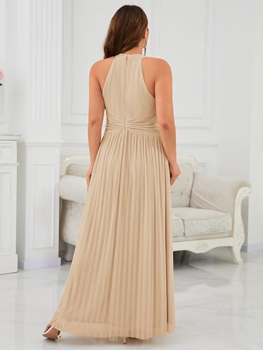 Image of Ever-Pretty Plus Women's Floor Length A-Line Halter Sleeveless Pleated Glitter Plus Size Formal Dress Evening Gown