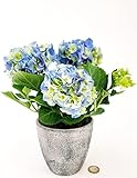 POWERS TO FLOWERS