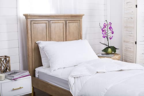 Continental Bedding Soft White Goose Down Pillow – 2 Pack, King Size, 20 X 36 In., 30 Oz., 550 Fill Power, – Rds-Certified Fine Cotton Pillow Shell – Usa-Made Soft Down Pillows For Sleeping #TOP3