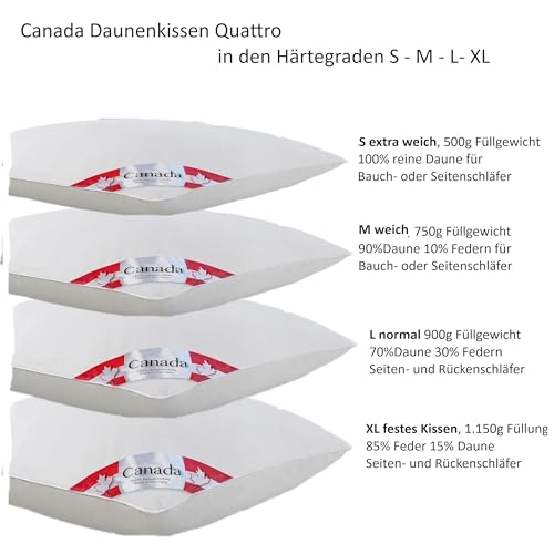Bach's Betten Welt Canada Daunenkissen Kopfkissen Quattro 80x80 cm 1.150g Füllgewicht (XL fest 85/15 Federn Daune)