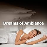 Dreamstate Music
