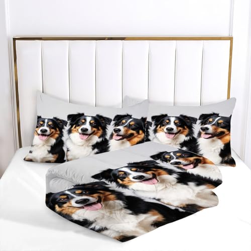 Couette tempérée douce lavable en microfibre imprimé animal 200x200