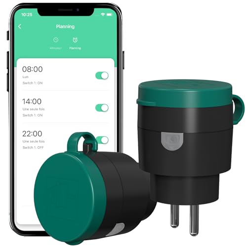 SURNICE Prise connectée extérieure - 10A Type E IP44, prise intelligente WiFi...