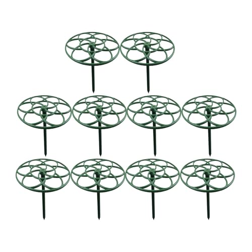 Zynphancer ApAT|[gx 10Zbg ? OEAWTČsی삵J̐RƂǗ