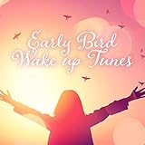 pulsar night vision challenger 1x20  Pulse Vision