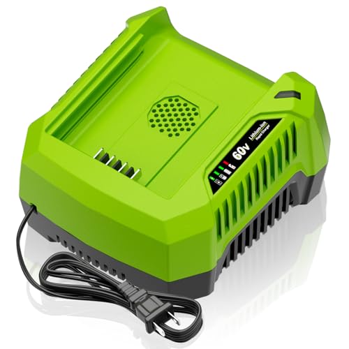 6A Rapid Charger Replacement for Greenworks 60V Battery Charger CH60R00 2936902 60DPC10A CH60DP01 Compatible with Greenworks Pro 60V Battery LB602 B6025 LB604 LB6041 LB6042 LB6051 LB6080 LLB608-NS
