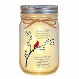 Claire Katie Cardinal Memorial Gifts for Loss of Loved One - Sympathy Mason Jar Night Light, in Loving Memory Remembrance Bereavement Gift