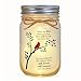 Claire Katie Cardinal Memorial Gifts for Loss of Loved One - Sympathy Mason Jar Night Light, in Loving Memory Remembrance Bereavement Gift