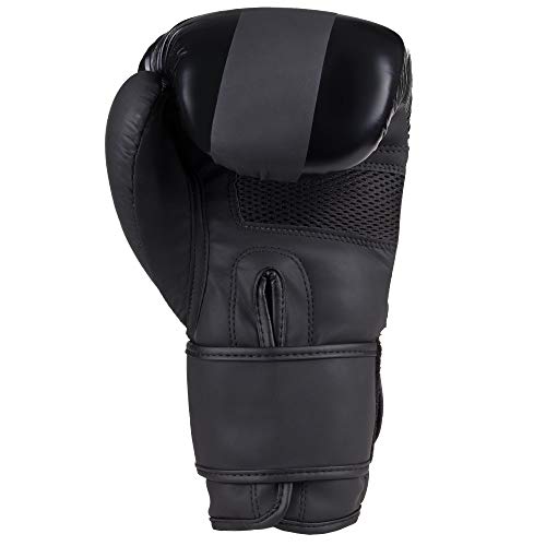 Boxhandschuhe 10 oz Lnx Nitro für Boxen, Kickboxen und MMA