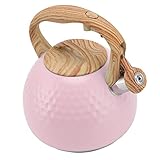 Teekanne, 3 Liter, GleichmäßIge WäRmeverteilung, Kleiner Wasserkocher der Schnell Aufheizt FüR die KüChe