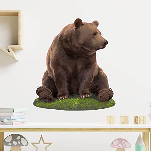 Vinilo Decorativo Oso Marrón Sentado para Pared 60x44 cm miniatura 2