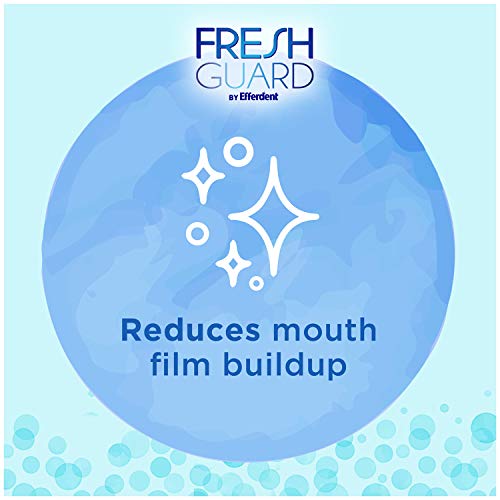 Fresh Guard Soak By Efferdent For Retainers & Clear Braces, Original Version, 24 Count #TOP4