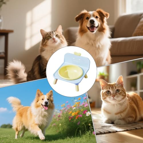 Erhöhte Katzennäpfe | Wasserspender für Haustiere mit Ständer, rutschfester Katzen- Wassernapf | für Tierarzt, Zuhause, Schlafzimmer, Küche, Wohnzimmer, Balkon, Wohnung, Schlafsaal-4